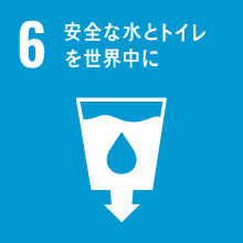 goal6
